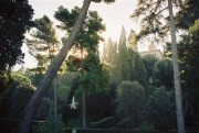 Villa d’Este, les verts