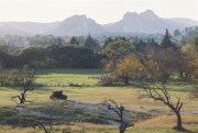 Alpilles virgiliennes